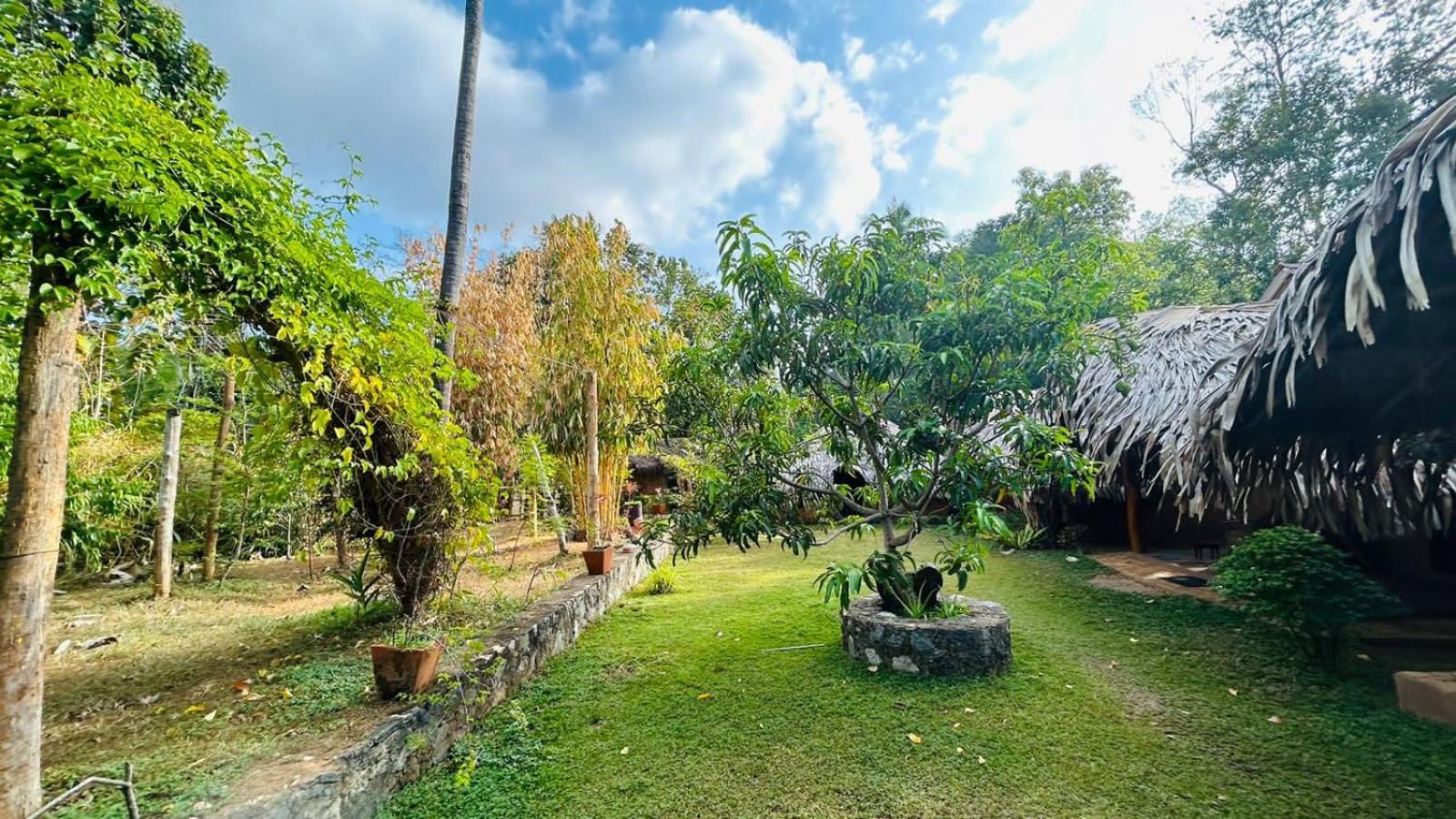 Hasthi Safari Cottage Udawalawe Exterior foto