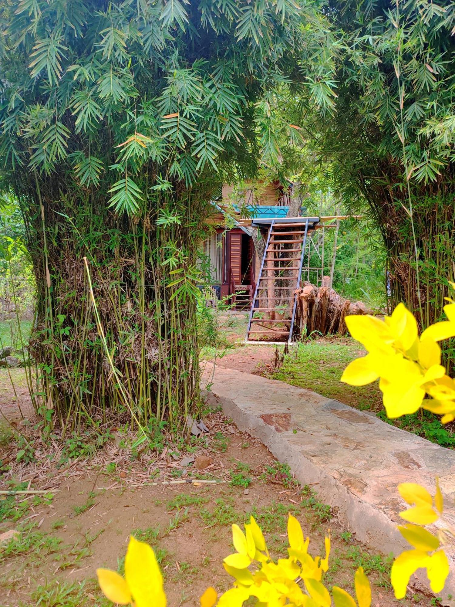 Hasthi Safari Cottage Udawalawe Exterior foto