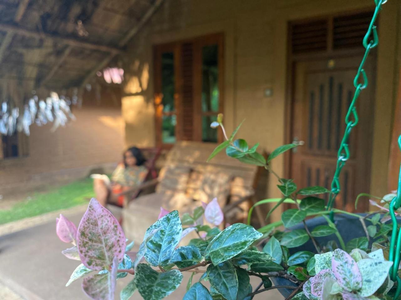 Hasthi Safari Cottage Udawalawe Exterior foto