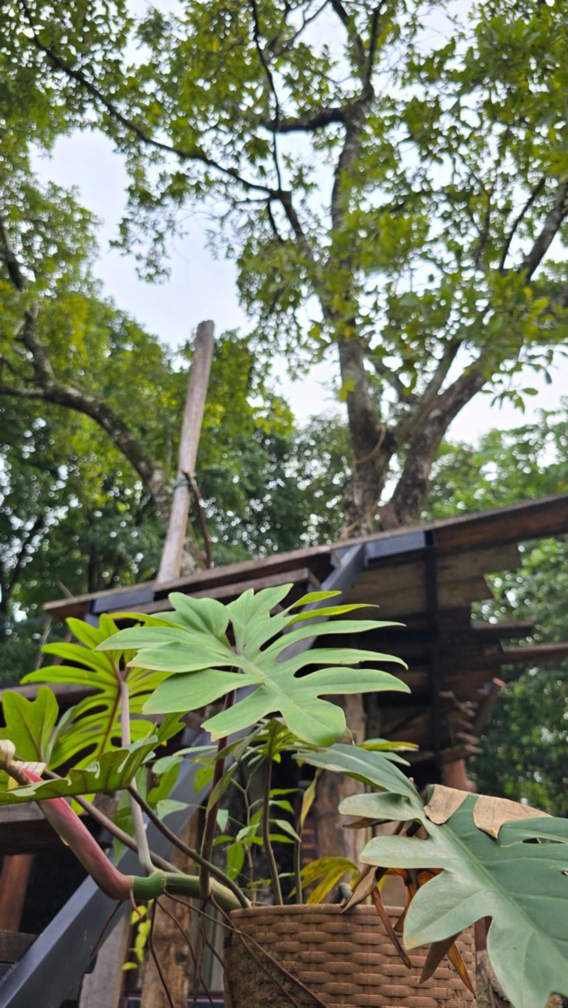 Hasthi Safari Cottage Udawalawe Exterior foto